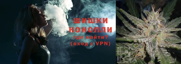 шишки Арсеньев