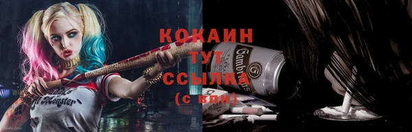 шишки Арсеньев