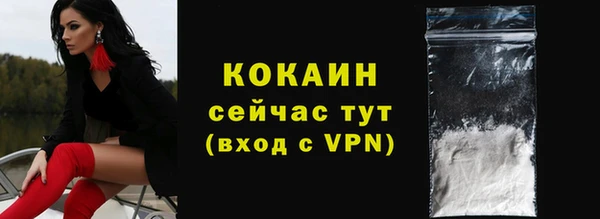 шишки Арсеньев