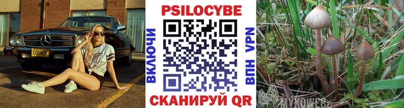 Псилоцибиновые грибы мухоморы  mega ССЫЛКА  Опочка 